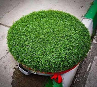 Nowruz Sabzeh